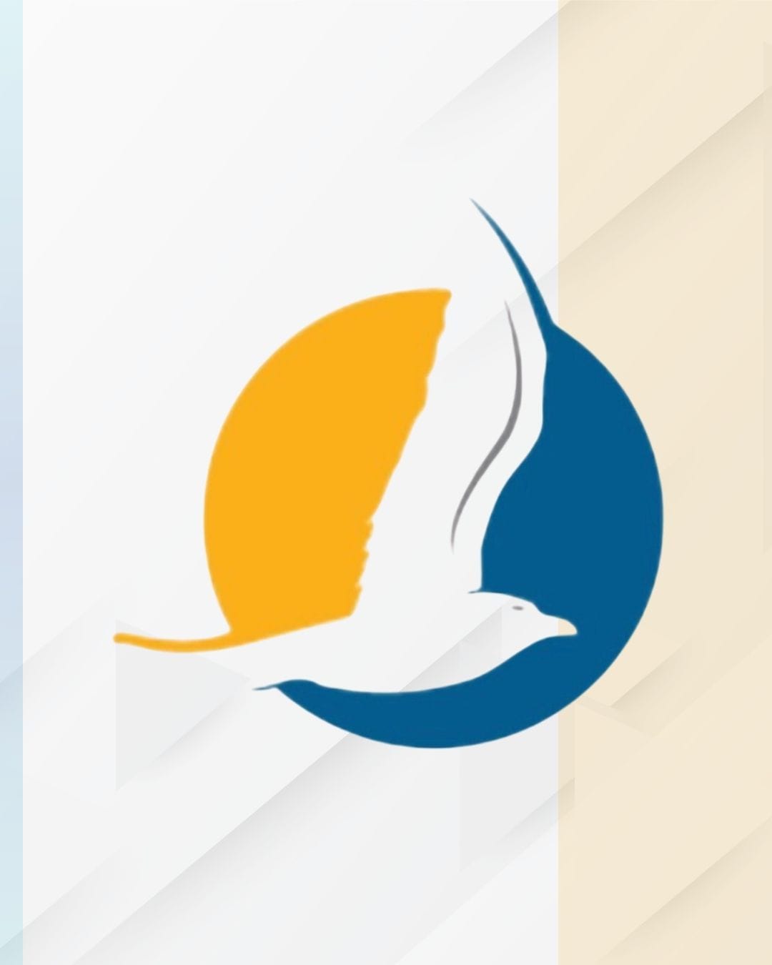 Tratamento de dependência química e transtornos associados